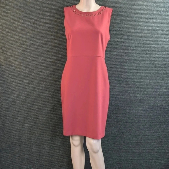 For Kitty Rescue! Loft Cutout Sheath Dress - Picture 4 of 13